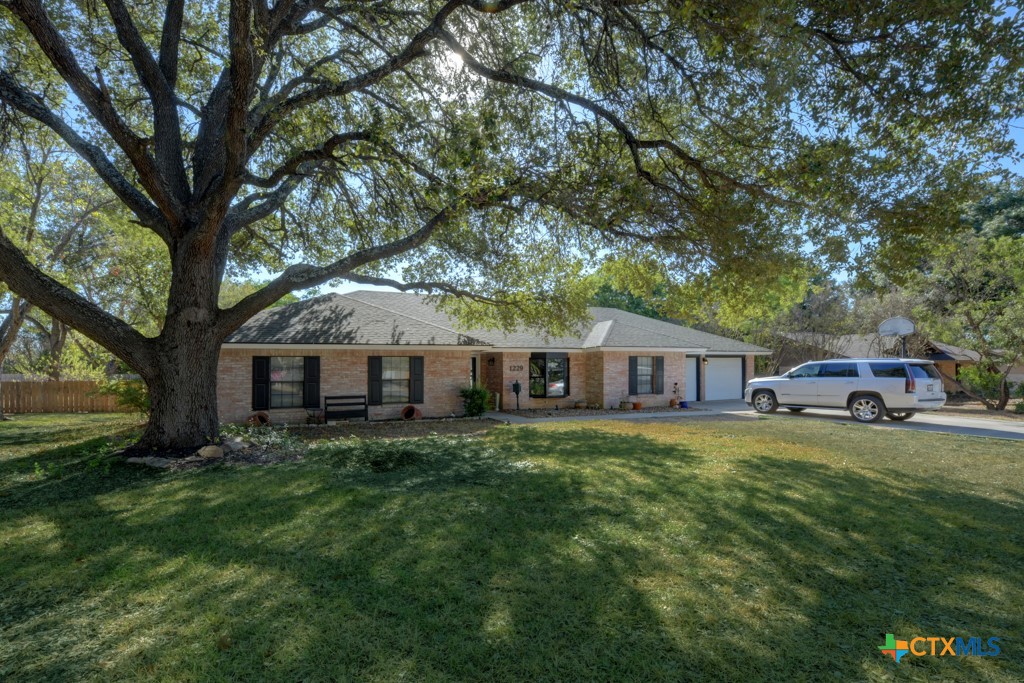 1229 Rapids Road New Braunfels, TX 78130 - Photo 2 of 27 a front view of a house with a garden and trees