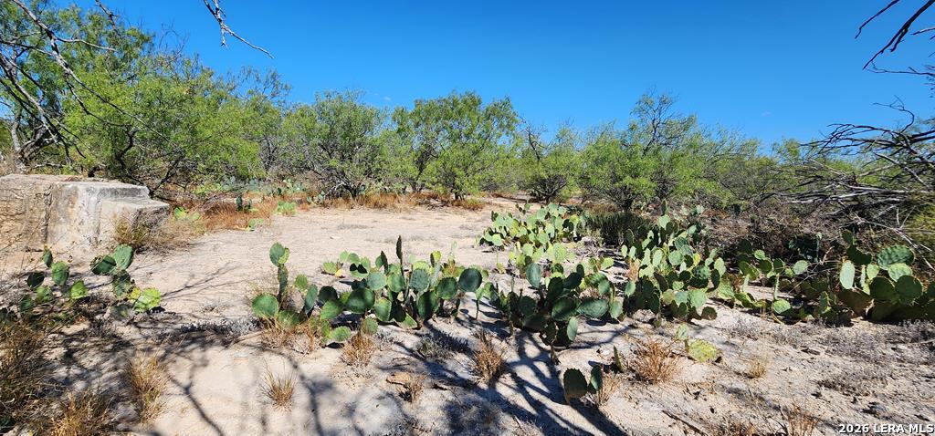 0 Loop 517 Carrizo Springs, TX 78834 - Photo 29 of 30