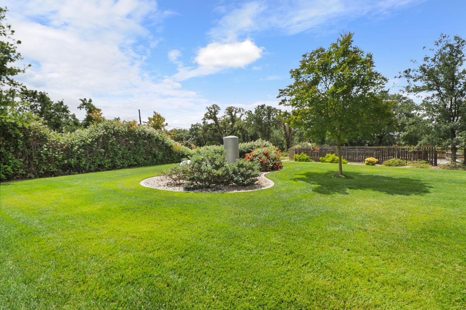 10576 Sheldon Road Elk Grove, CA 95624 - Photo 57 of 74