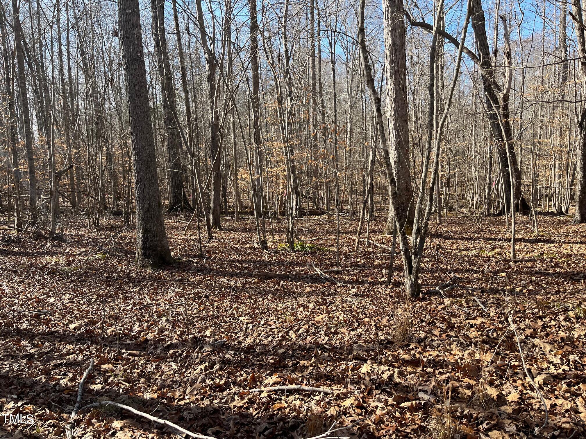 150 Cornerstone Lane Timberlake, NC 27583 - Photo 12 of 38 a view of a backyard with trees