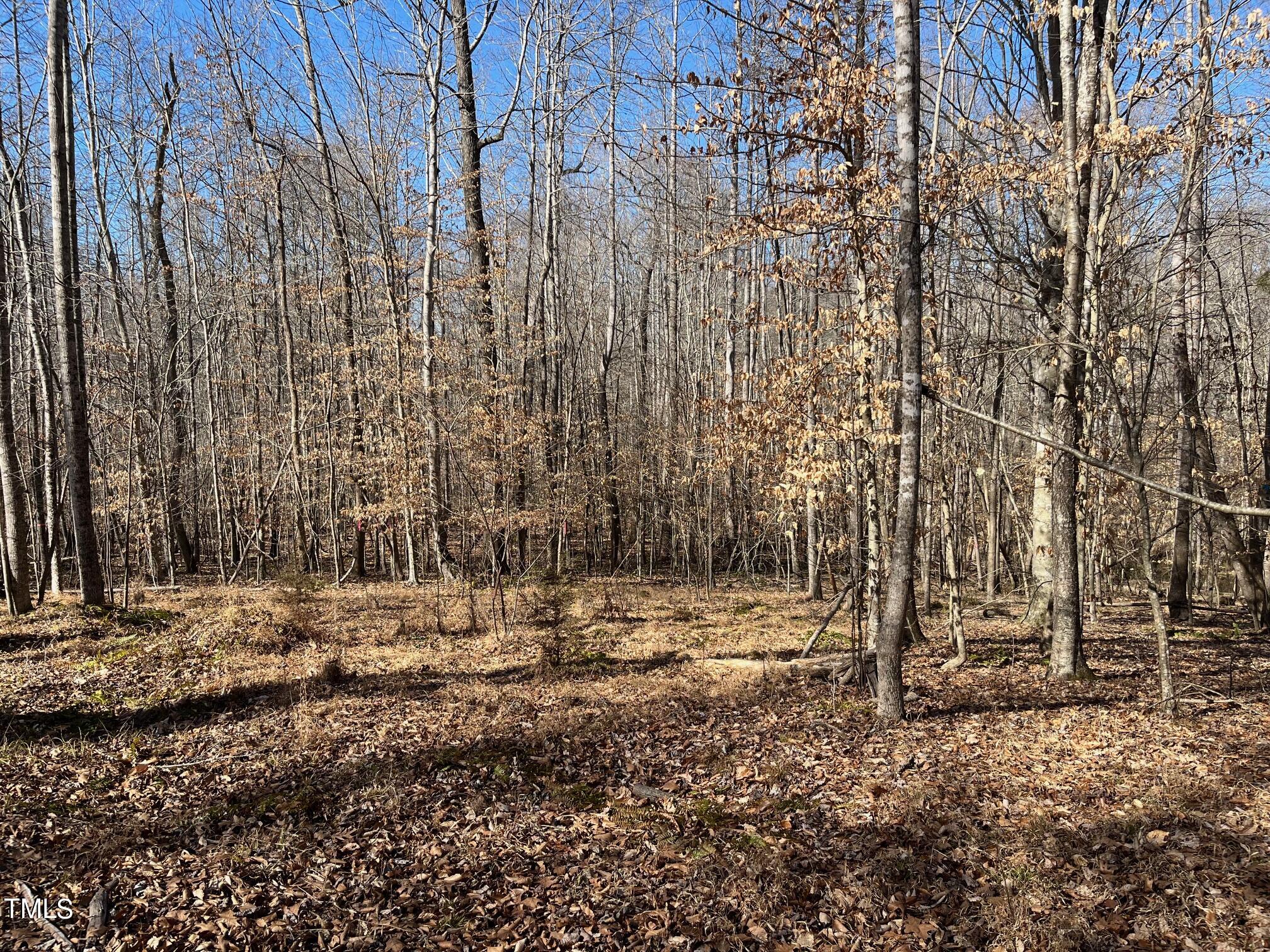 150 Cornerstone Lane Timberlake, NC 27583 - Photo 14 of 38 a view of dirt field with trees
