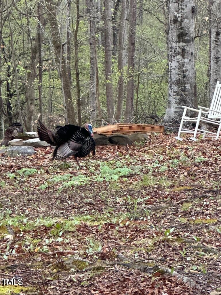 150 Cornerstone Lane Timberlake, NC 27583 - Photo 3 of 38 a backyard of a house with table and chairs