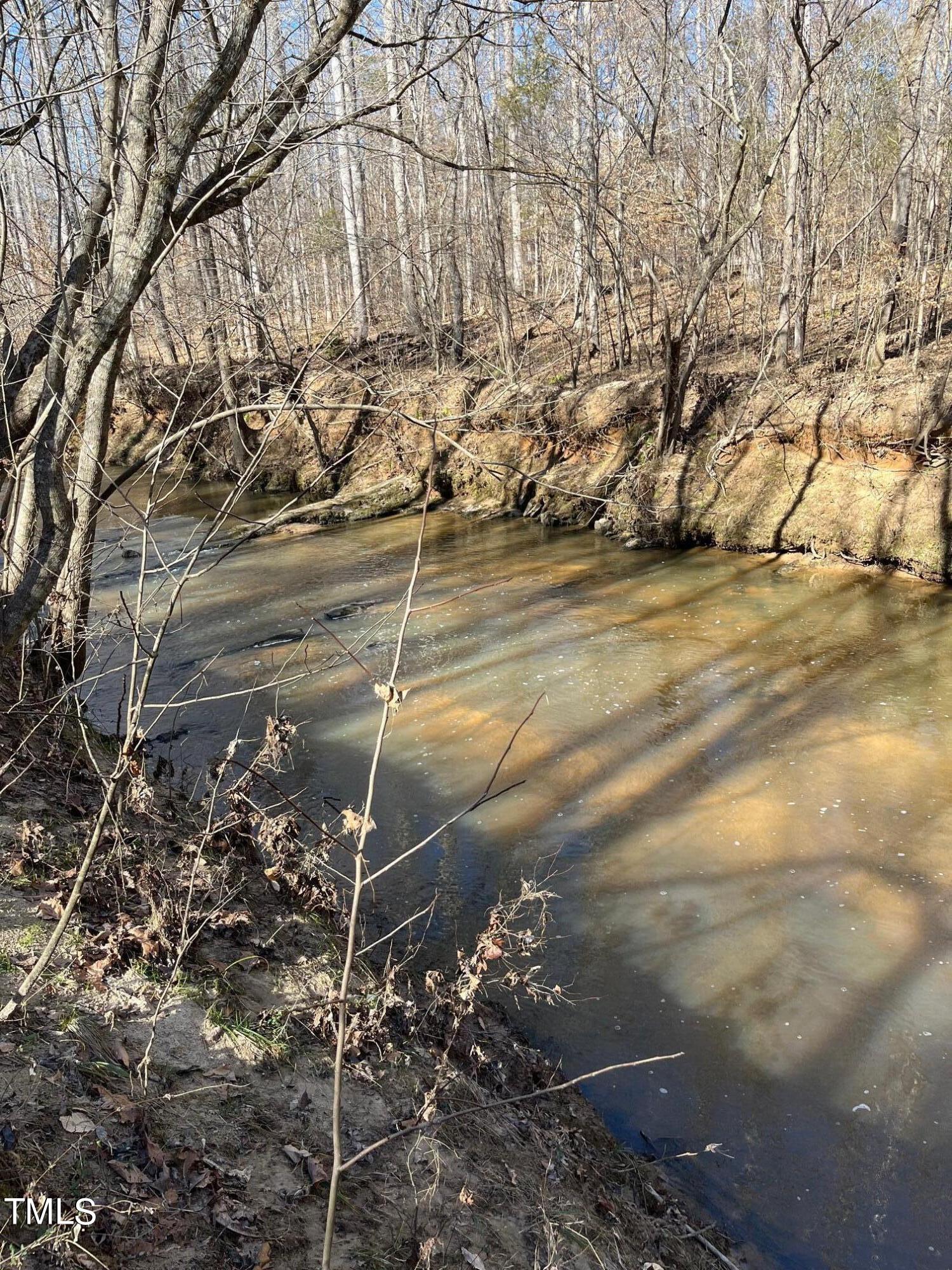 150 Cornerstone Lane Timberlake, NC 27583 - Photo 38 of 38 a view of a yard with street