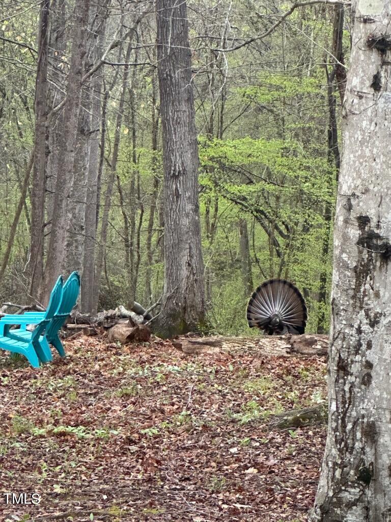 150 Cornerstone Lane Timberlake, NC 27583 - Photo 4 of 38 a view of outdoor space and garden