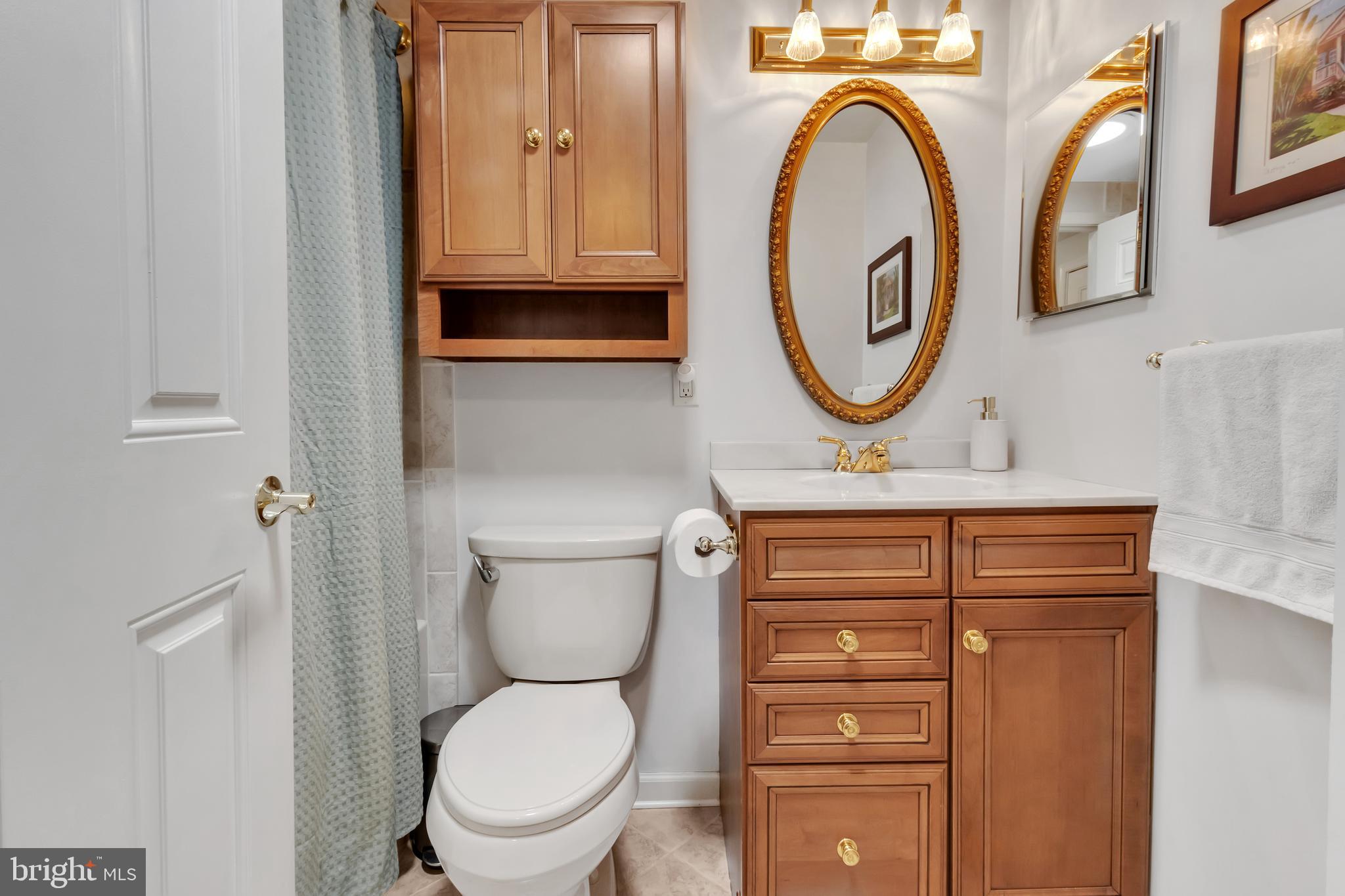 607 Bay Green Drive Arnold, MD 21012 - Photo 35 of 52 a bathroom with a toilet a sink and a mirror