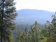 0 Saddle Ridge, Unit 13 Greenacres, WA 99016 - Photo 3 of 5