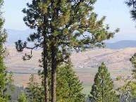 0 Saddle Ridge, Unit 13 Greenacres, WA 99016 - Photo 4 of 5