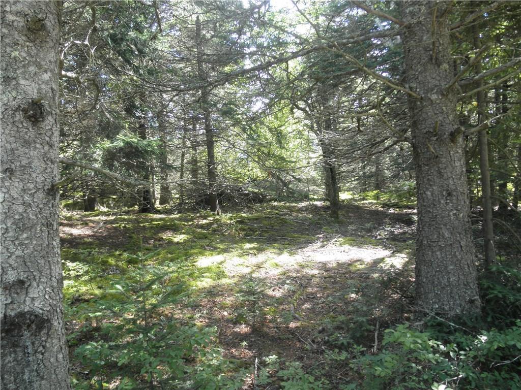 2 Ritz Road Vinalhaven, ME 04863 - Photo 6 of 19 Photo