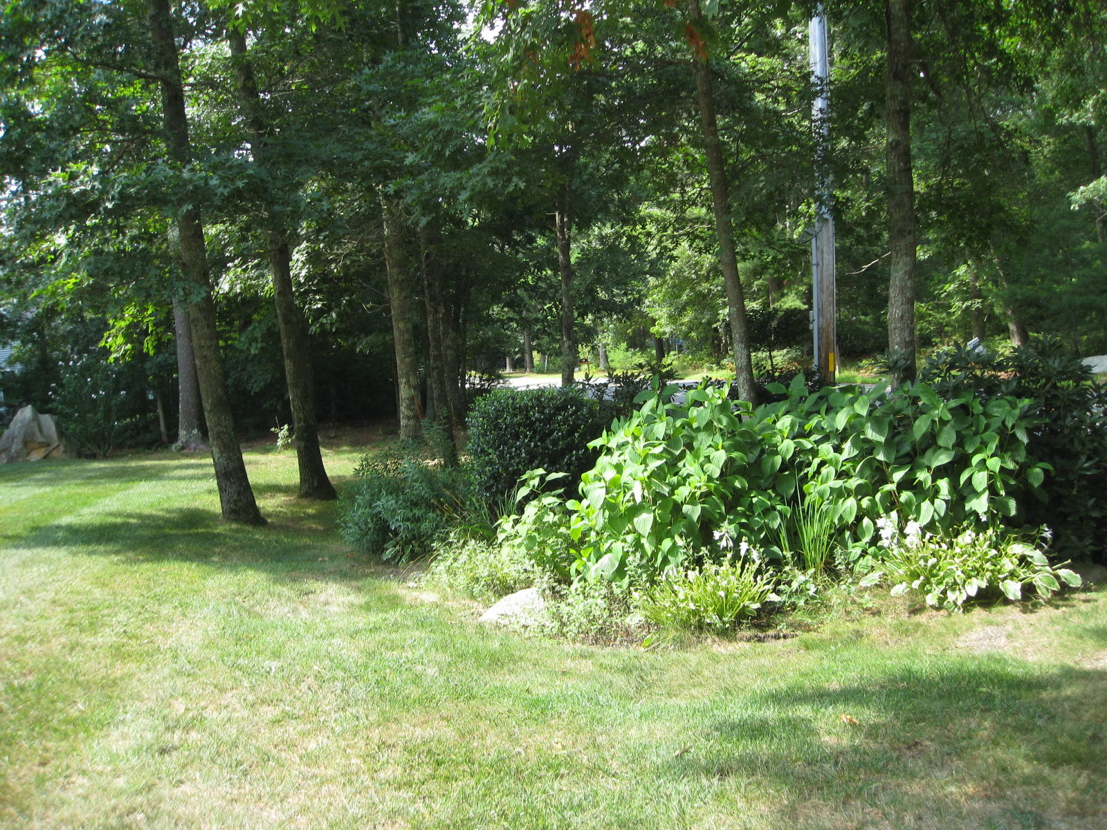 58 Papermill Road West Wareham, MA 02576 - Photo 25 of 26 IMG_2045