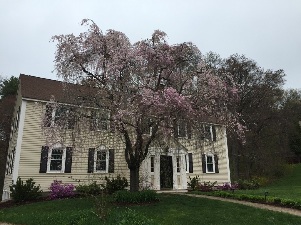 4 Thaxton Road Beverly, MA 01915 - Photo 2 of 23 Gallery Image 2