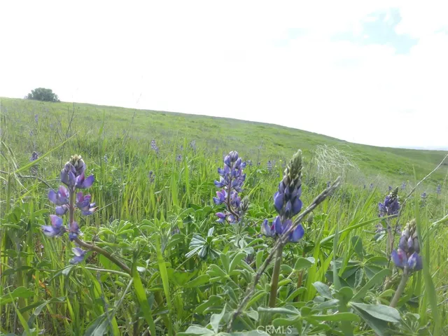 $525,000 | 0 Yosemite Place, Paso Robles, CA 93446