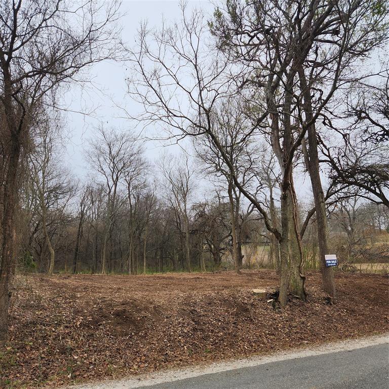 0 West Vernon Street Bells, TX 75414 - Photo 2 of 6