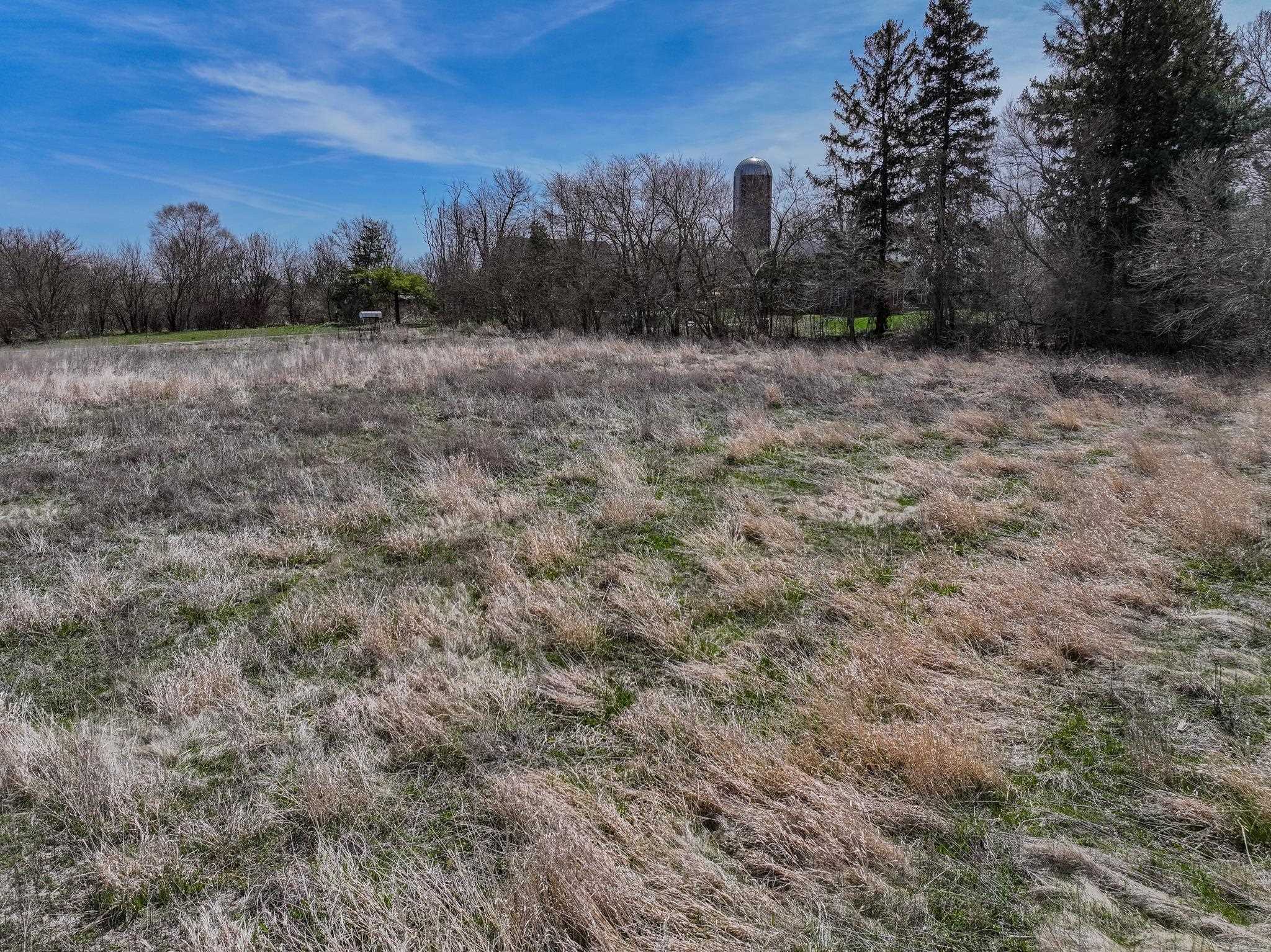 14189 East Dutch Road Rochelle, IL 61068 - Photo 58 of 65 a view of a dry yard with trees in the background