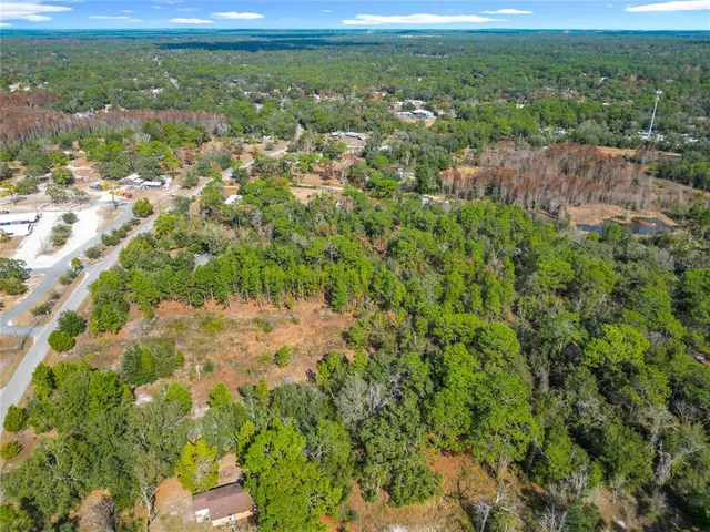 $350,000 | 6359 South Lewdingar Drive, Homosassa, FL 34446