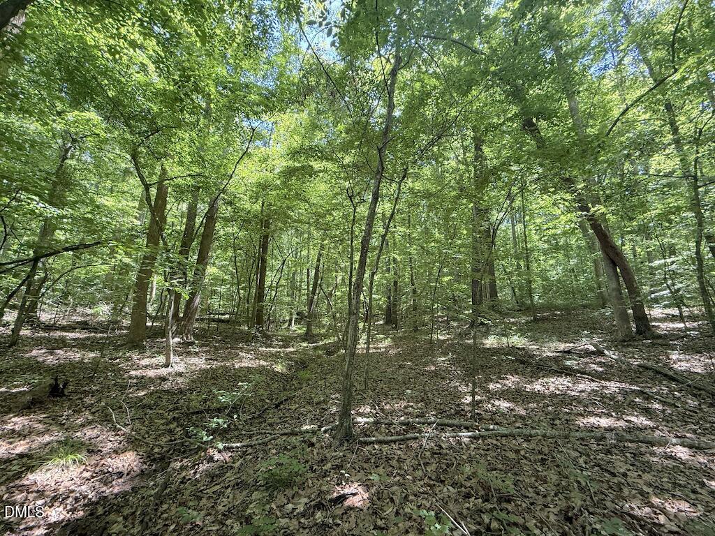 0 Buttonwood Lane Roxboro, NC 27574 - Photo 9 of 36