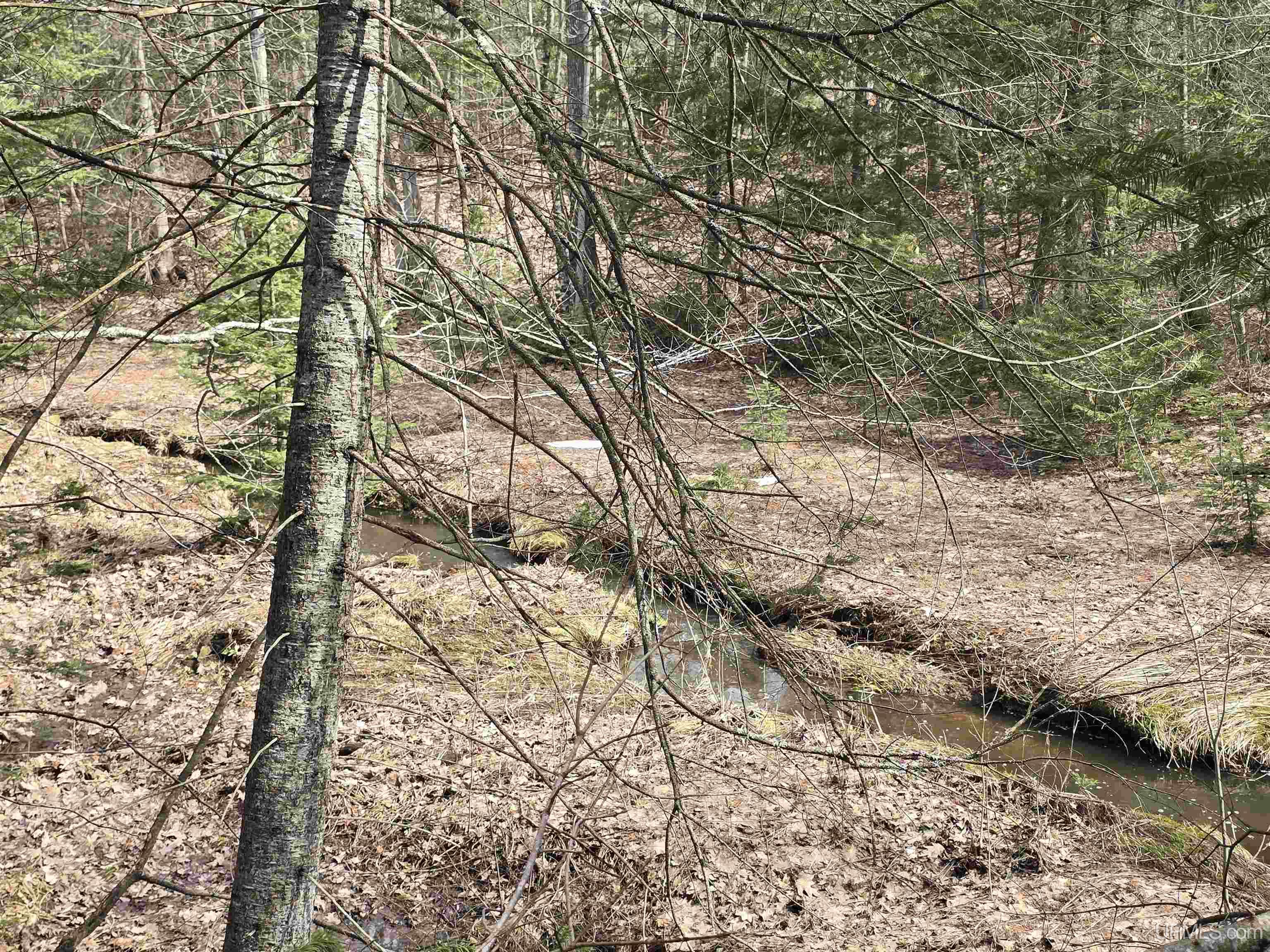 Tbd Woodspur Road Ontonagon, MI 49953 - Photo 16 of 46