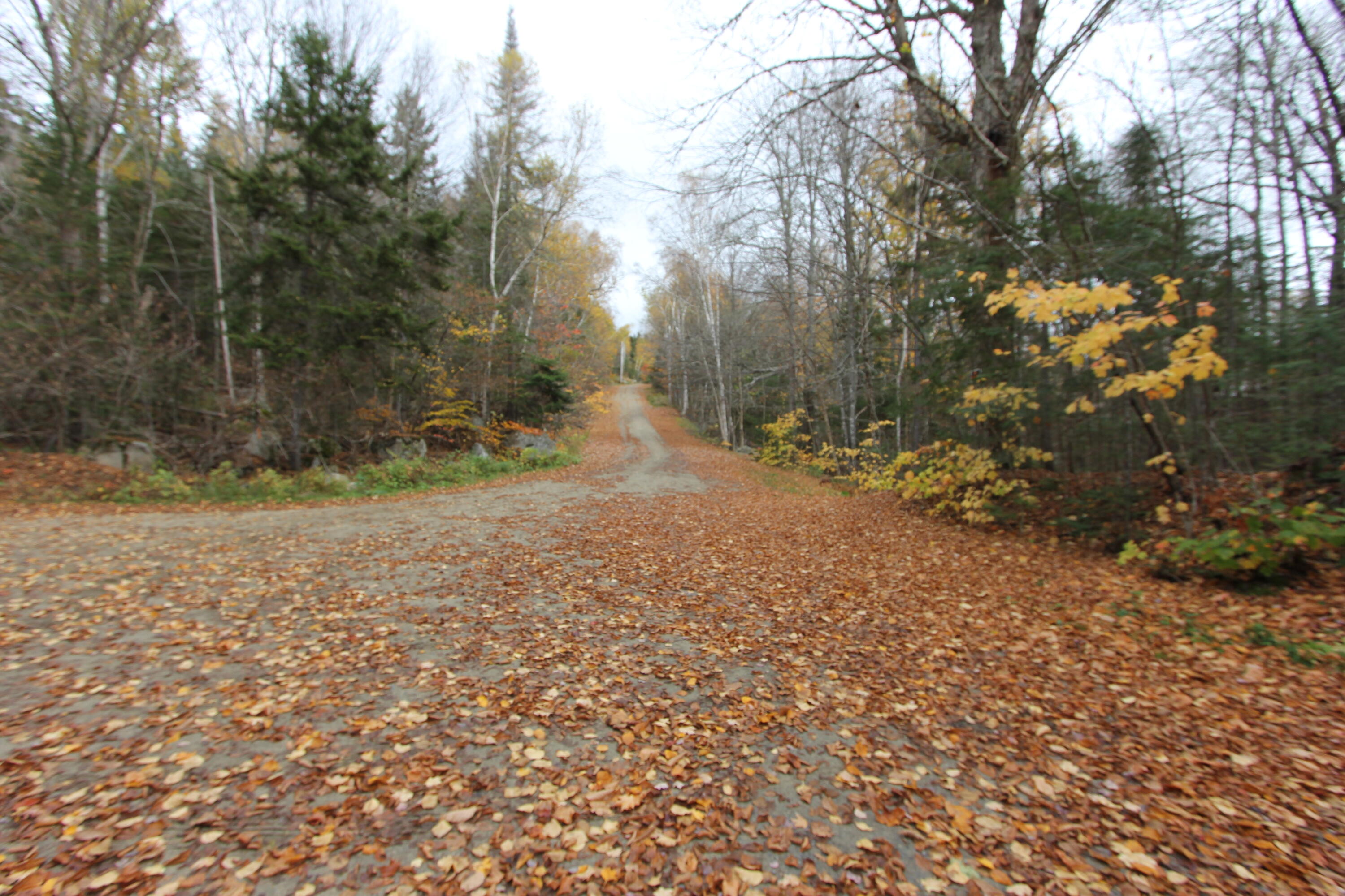 331 Birches Beach Road Oquossoc, ME 04964 - Photo 64 of 94 IMG_7845