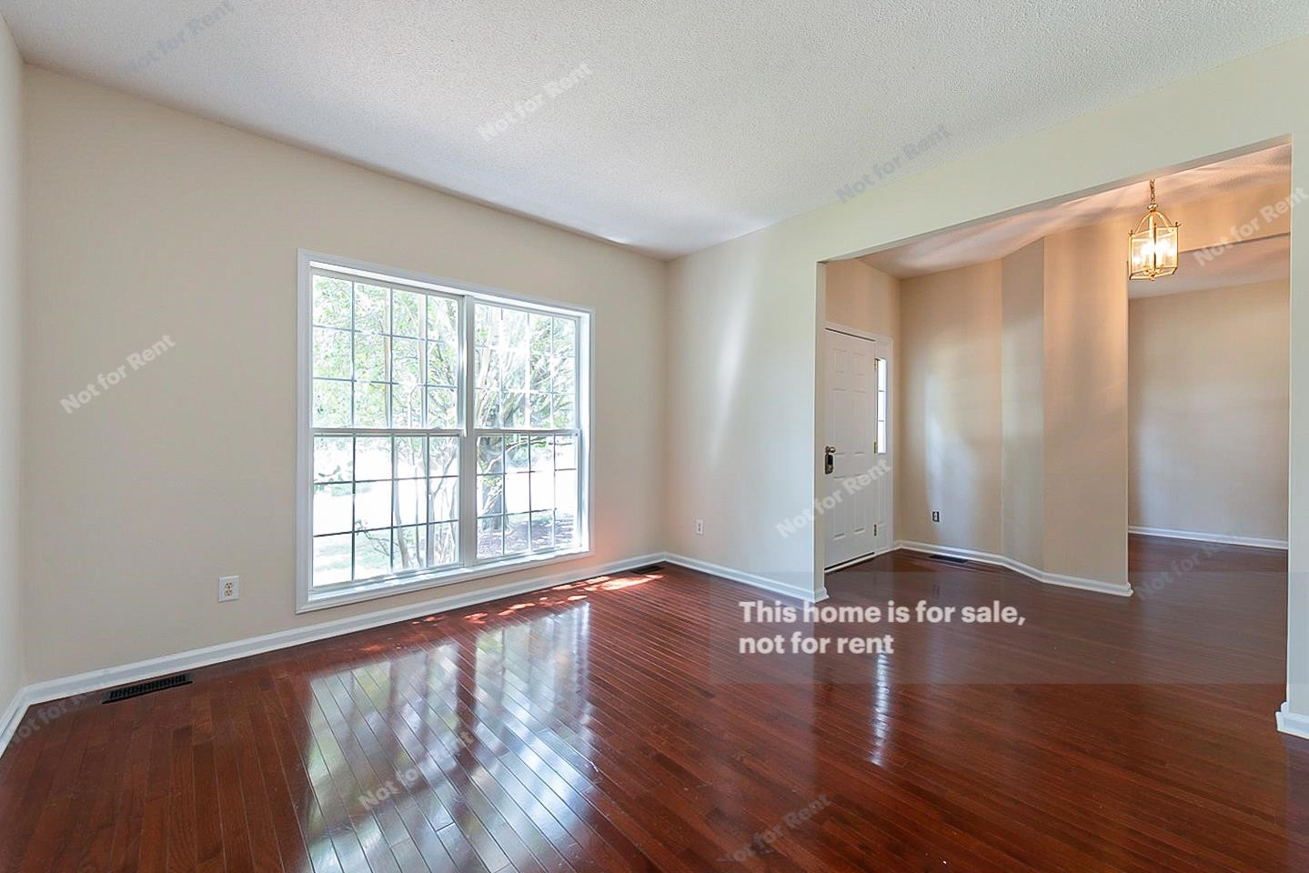 8904 Waynick Drive Raleigh, NC 27617 - Photo 12 of 24 Photo 12