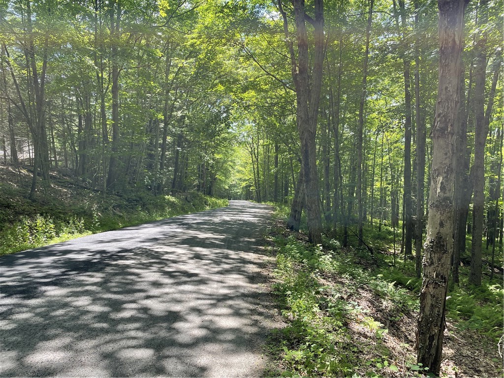 Skip Gray Road Delancey, NY 13752 - Photo 2 of 7 Quiet town-maintained road