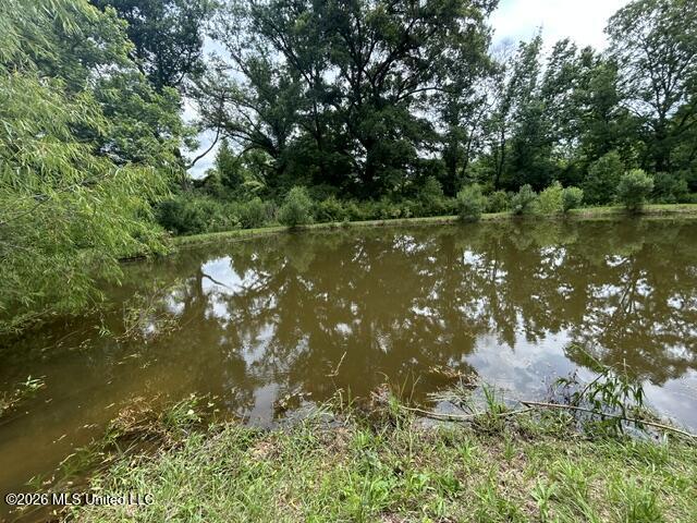 2096 Swilley Road Wesson, MS 39191 - Photo 76 of 86 IMG_4351