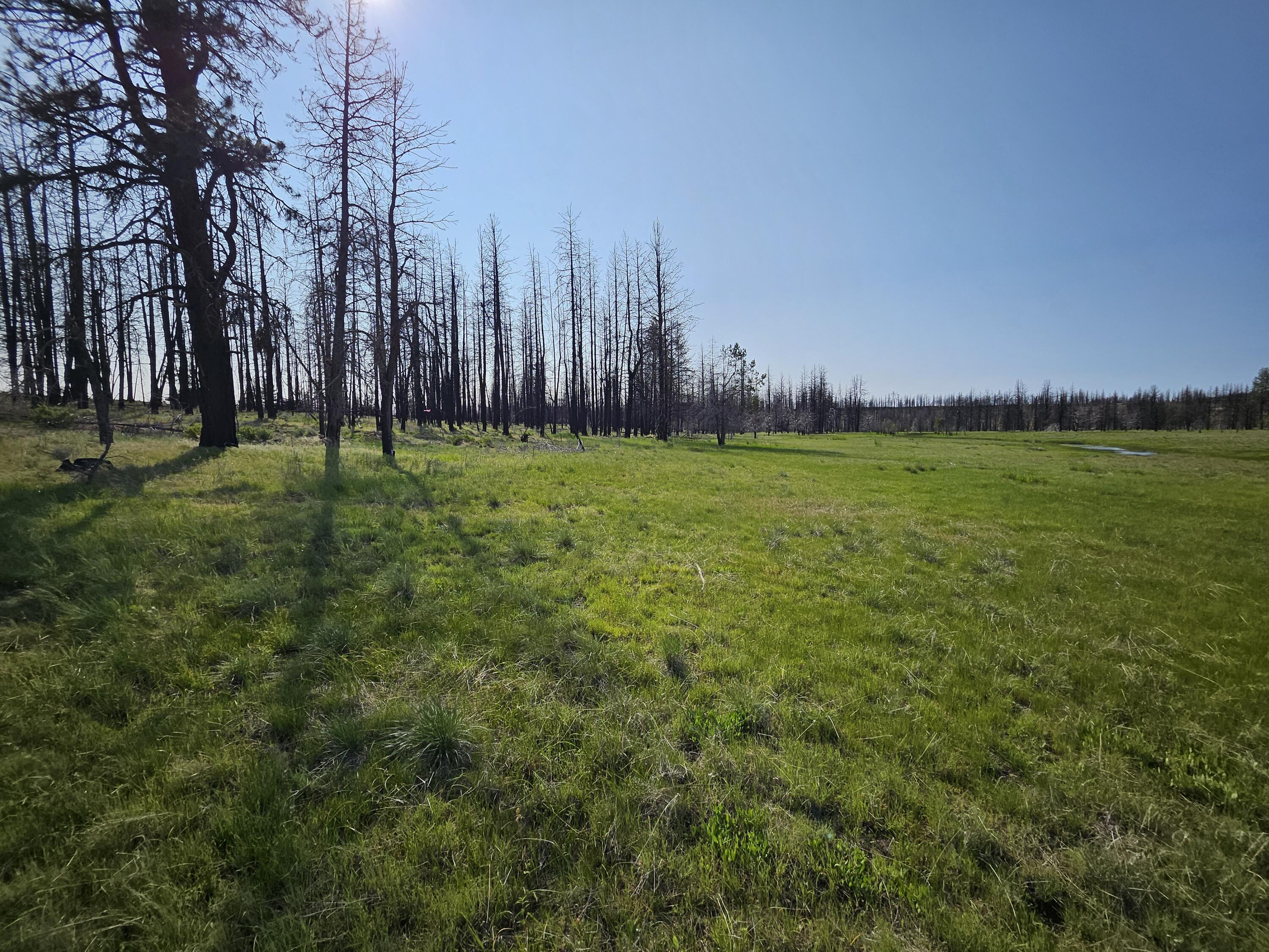 8 Parazoo Trail Bly, OR 97622 - Photo 10 of 27 20250601_165149