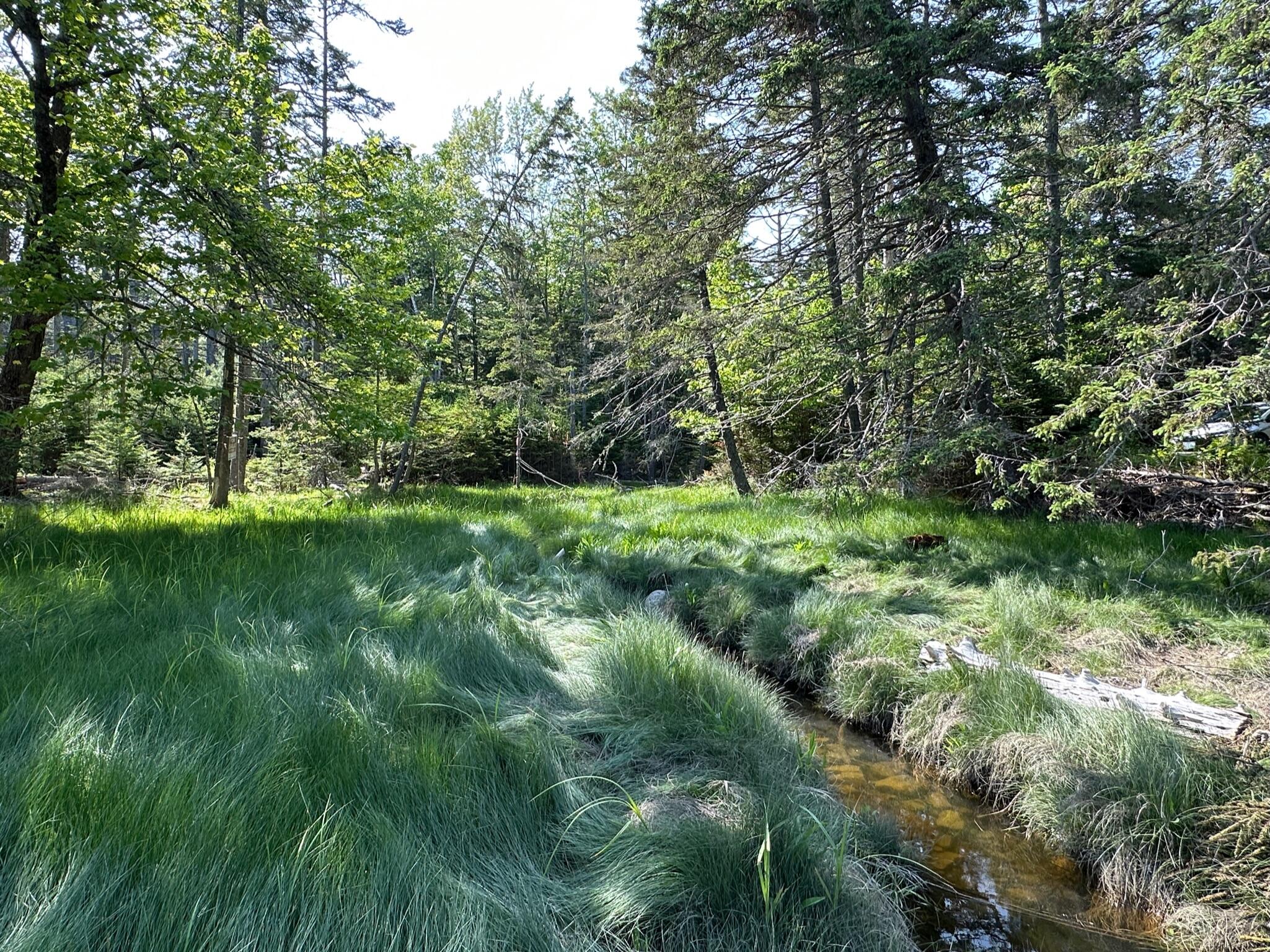 31 Fay Road Spruce Head, ME 04859 - Photo 15 of 77 90D33A13-A561-4D00-8C38-0E26B7D24735