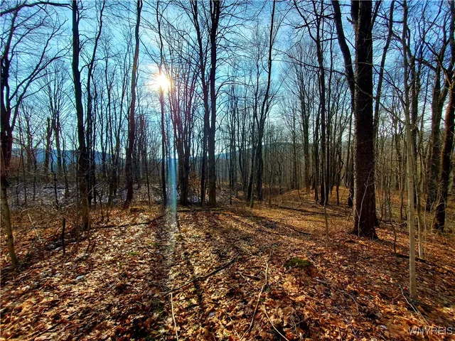 $84,000 | 7200 Kent Road, Little Valley, NY 14755