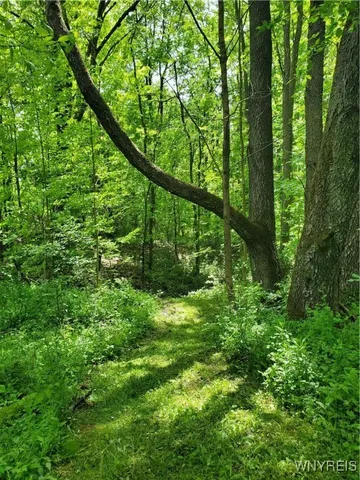 $84,000 | 7200 Kent Road, Little Valley, NY 14755