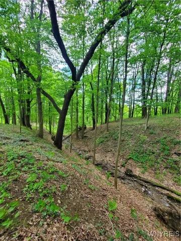 $84,000 | 7200 Kent Road, Little Valley, NY 14755