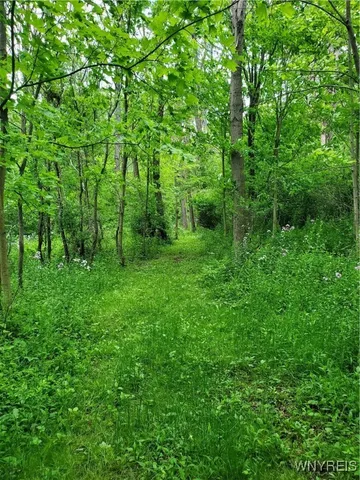 $84,000 | 7200 Kent Road, Little Valley, NY 14755