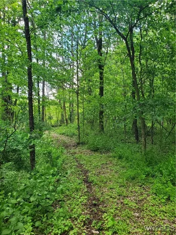 $84,000 | 7200 Kent Road, Little Valley, NY 14755