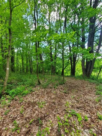 $84,000 | 7200 Kent Road, Little Valley, NY 14755