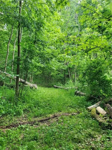 $84,000 | 7200 Kent Road, Little Valley, NY 14755