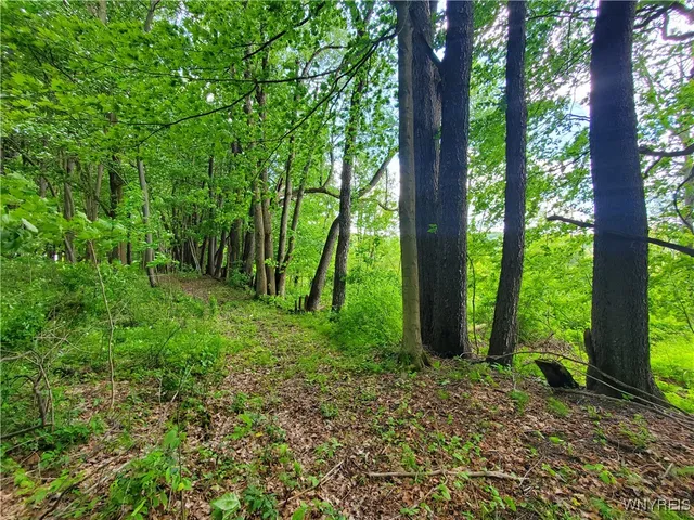 $84,000 | 7200 Kent Road, Little Valley, NY 14755