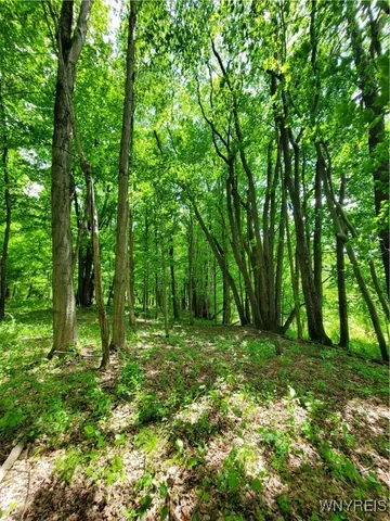 $84,000 | 7200 Kent Road, Little Valley, NY 14755