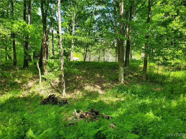 $84,000 | 7200 Kent Road, Little Valley, NY 14755