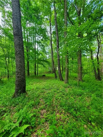 $84,000 | 7200 Kent Road, Little Valley, NY 14755