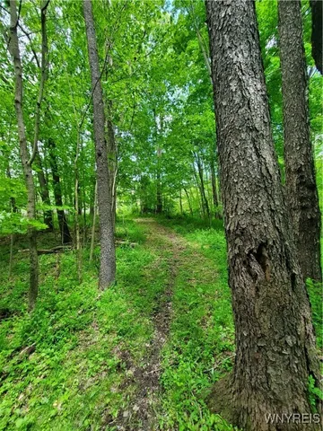 $84,000 | 7200 Kent Road, Little Valley, NY 14755