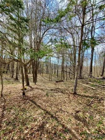 $84,000 | 7200 Kent Road, Little Valley, NY 14755