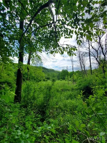 $84,000 | 7200 Kent Road, Little Valley, NY 14755