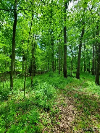 $84,000 | 7200 Kent Road, Little Valley, NY 14755