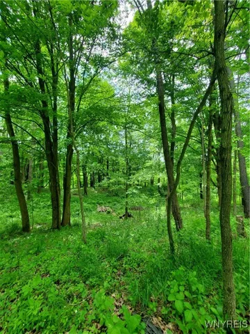 $84,000 | 7200 Kent Road, Little Valley, NY 14755