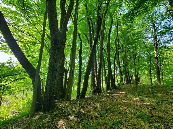 $84,000 | 7200 Kent Road, Little Valley, NY 14755