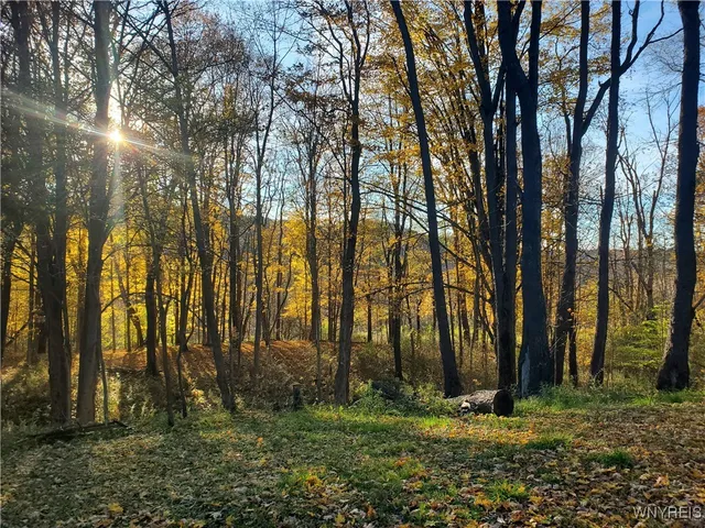 $84,000 | 7200 Kent Road, Little Valley, NY 14755