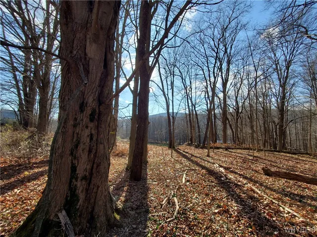 $84,000 | 7200 Kent Road, Little Valley, NY 14755