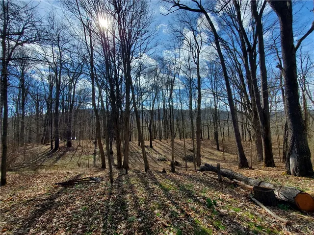 $84,000 | 7200 Kent Road, Little Valley, NY 14755