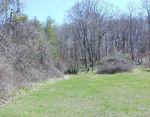 72 A Dodgingtown Road Bethel, CT 06801 - Photo 1 of 1 a backyard of a house with lots of green space