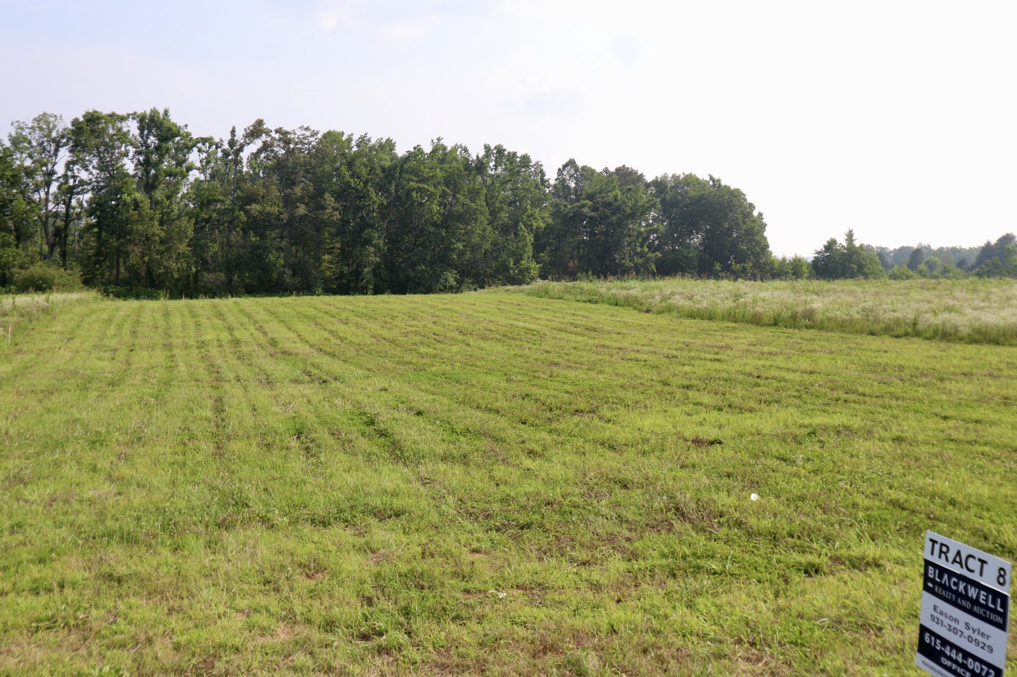 a view of an outdoor space and a yard