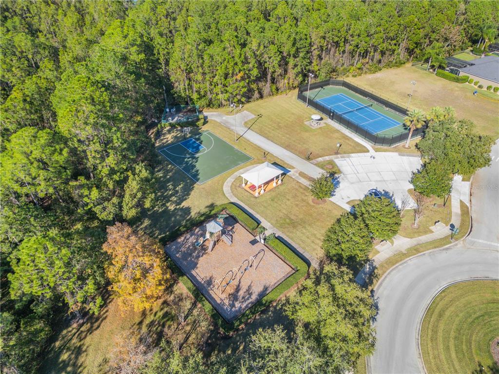 3029 Isola Bella Boulevard Mount Dora, FL 32757 - Photo 78 of 88 Gallery Image 78