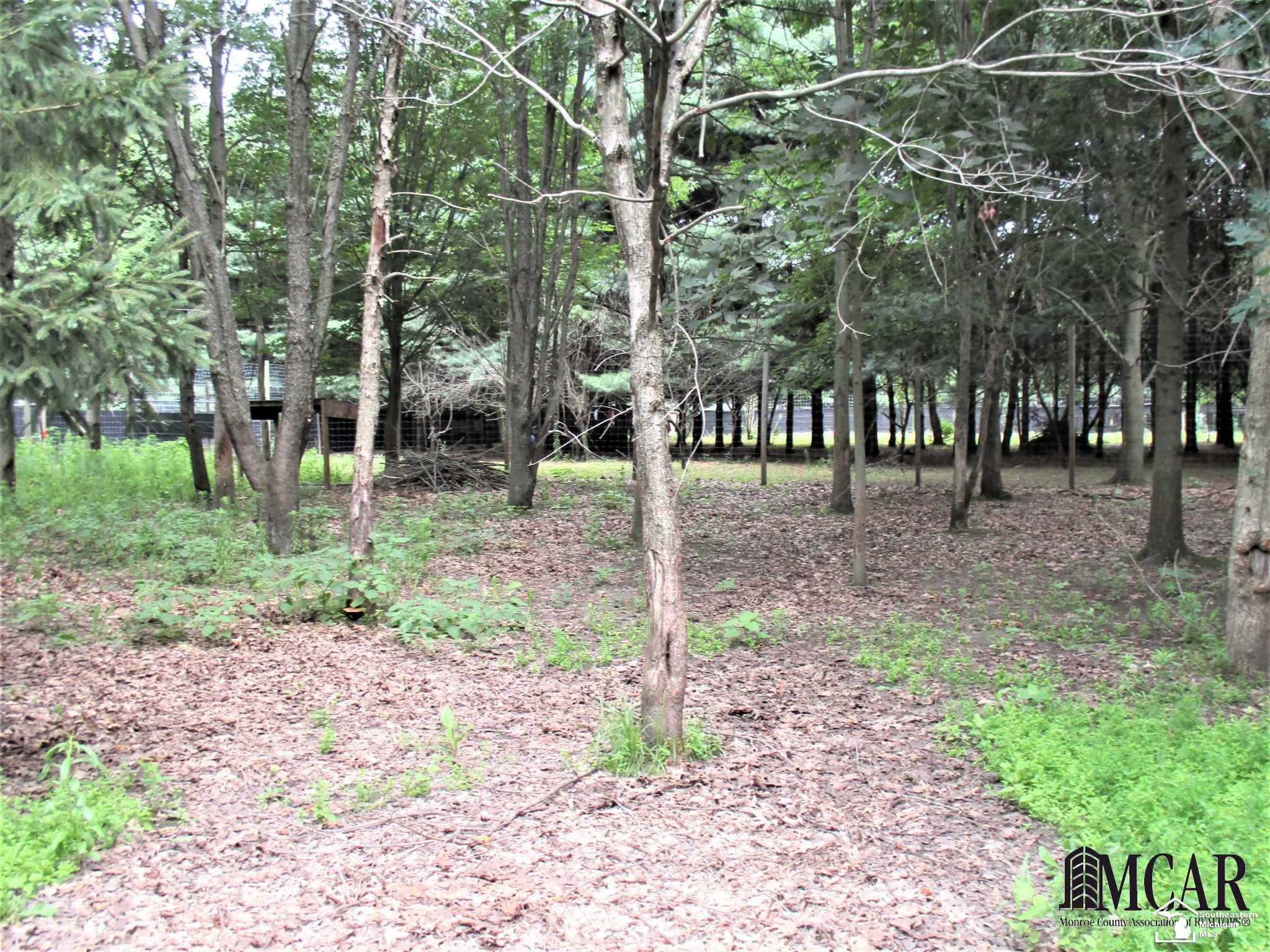 12169 Oelke Road Maybee, MI 48159 - Photo 34 of 37 21480225-33.JPG